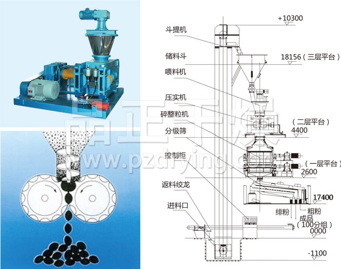 干法輥壓造粒機(jī)結(jié)構(gòu)示意圖 干法輥壓造粒機(jī)結(jié)構(gòu)示意圖